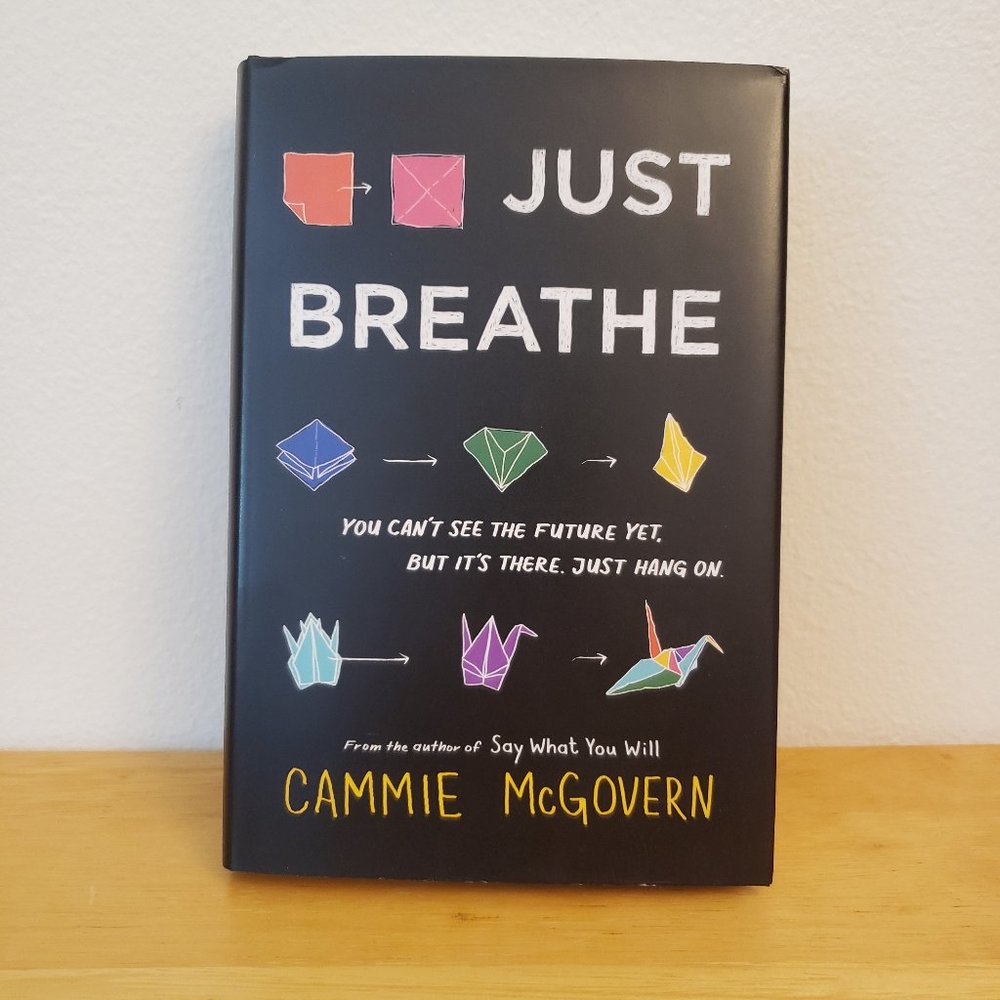 Just Breathe by Cammie McGovern (hardcover)